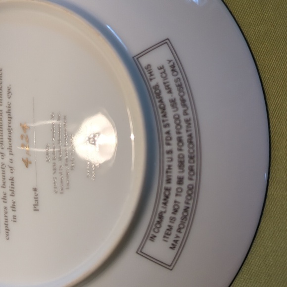 Kim Anderson Pretty as a Picture Commemorative Wedding Art Plate, 1997 - Picture 6 of 9